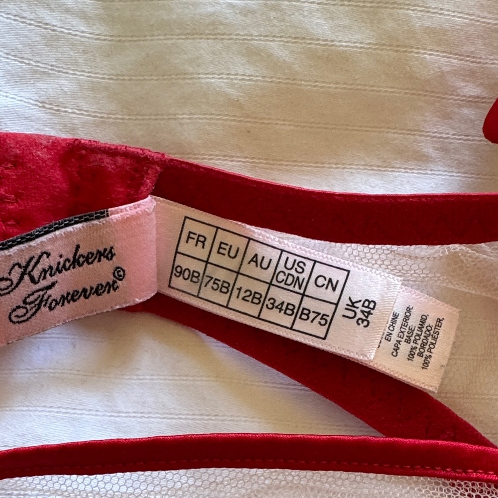 Rare Agent Provocateur Red Kiss Embroidered Sheer Bra Set 34B / AP 3(S/M) - Picture 3 of 9
